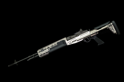 RA-TECH Custome WE M14 EBR GBB (Titanium color)