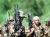 DNA Colt M16A1Carbine Mod.653 GBBR (Limited Product)