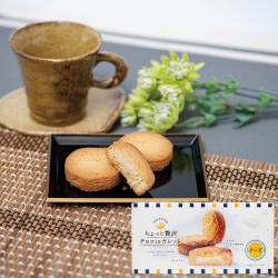 ちょっと贅沢チョコinガレット 6個
