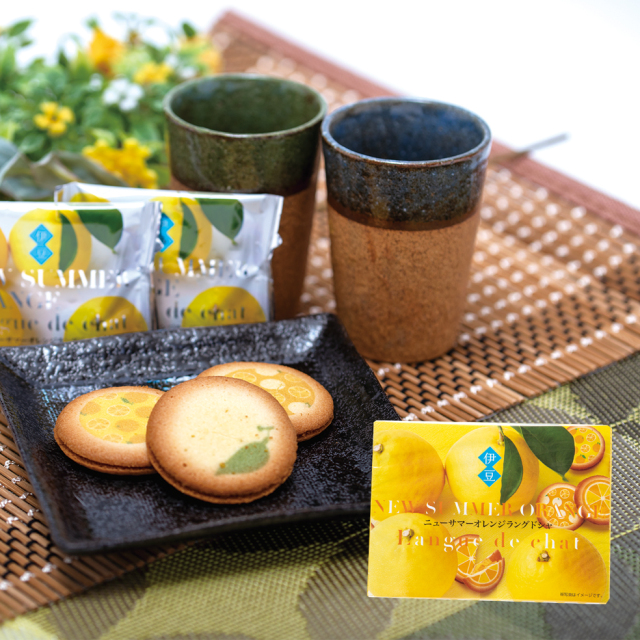 ニューサマーオレンジラングドシャ 10枚入（氏原製菓）