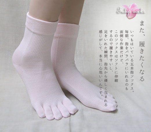 くつした祭2024チューリップソックス