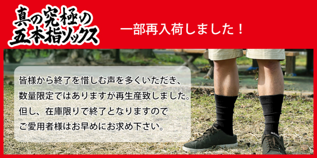 真の究極の五本指ソックス