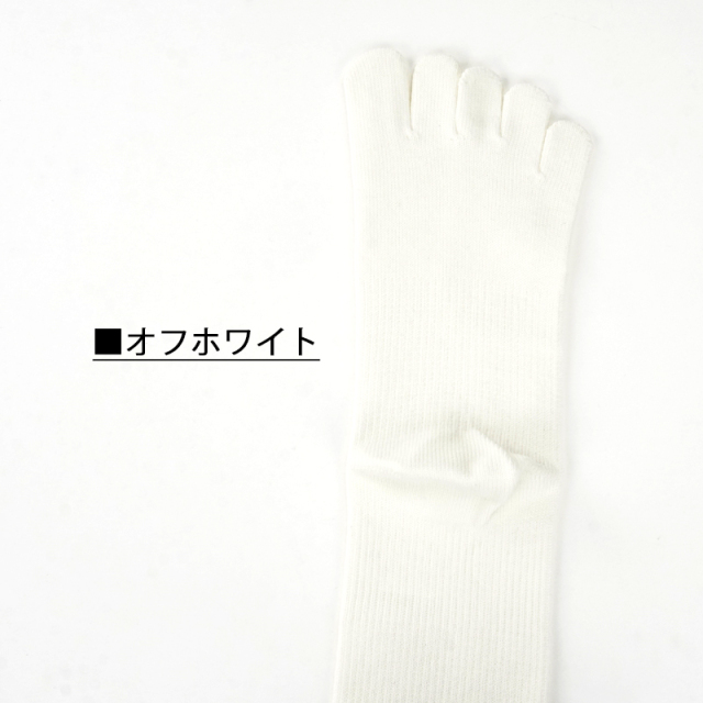 五本指スポーツエムエイト