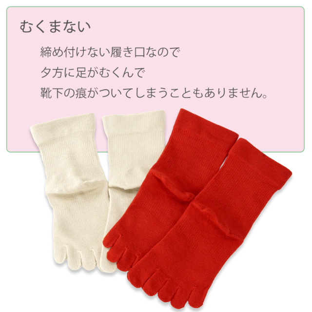 くつした祭2024チューリップソックス