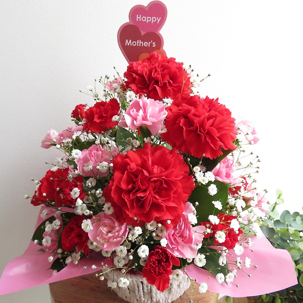 スペシャルサンクス 4400円