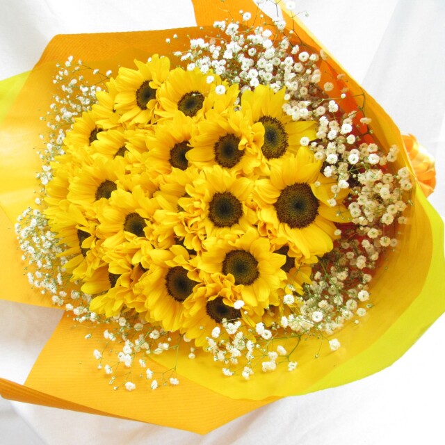 ヒマワリ20本とカスミ草の花束　11000円
