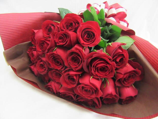 IMG_6557.JPG?t=20210525161956