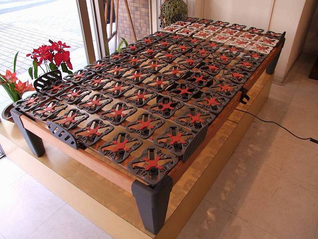 腰痛でうまく起き上がれない方にピッタリの電動リクライニングベッド