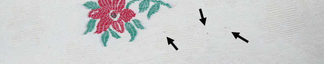 オロペサの黒い点々