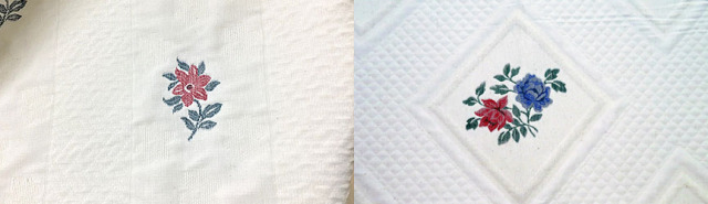 カテゴリ用　オロペサ