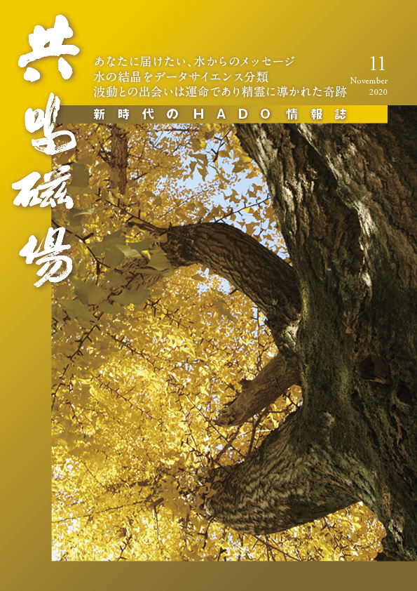 共鳴磁場　2020年11月号