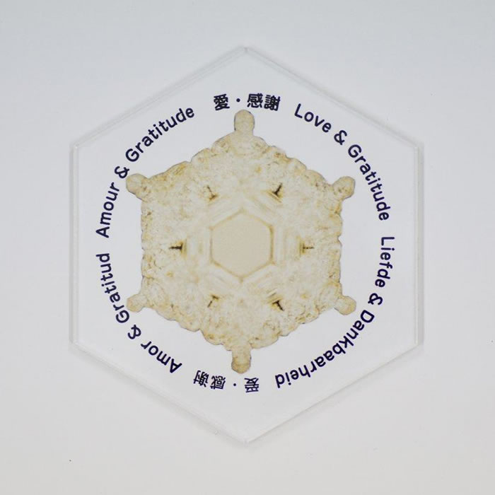 愛感謝コースター