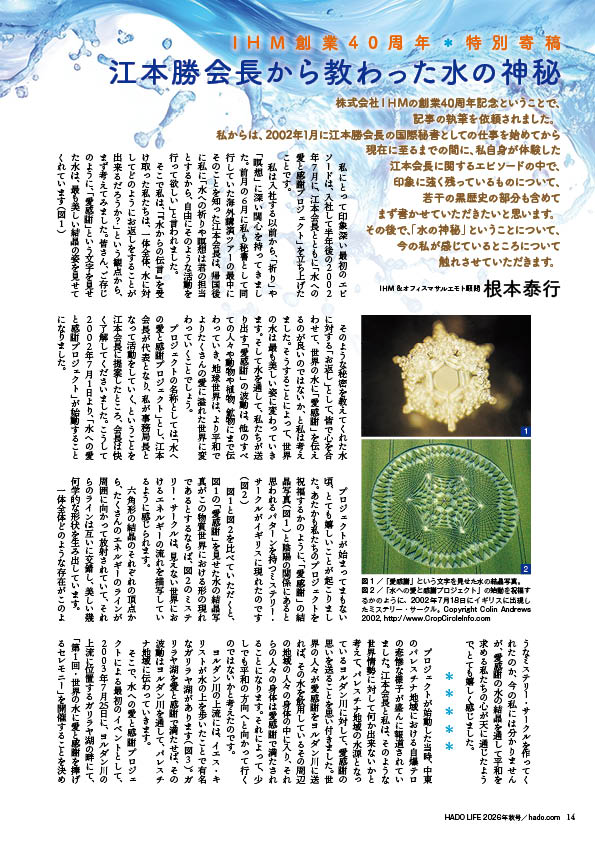 『HADO LIFE』2026年秋号根本さん