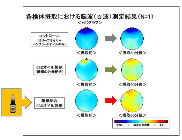 白姫CBDオイルevolutionⅣ脳波