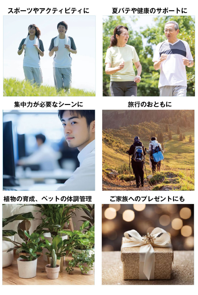クルミラオススメ