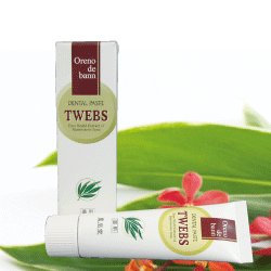 クマザサの力！薬用オレノデ・バン　デンタルペースト