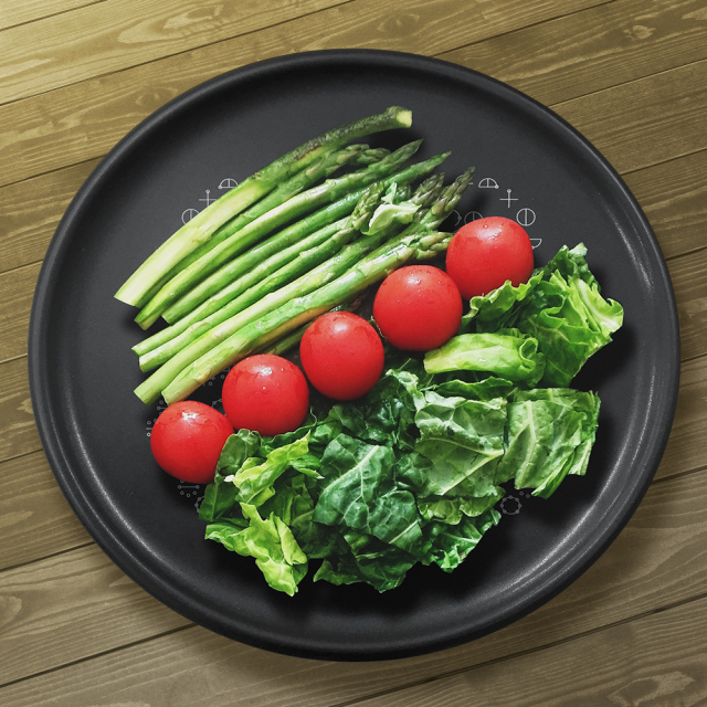 カタカムナ・EMナノフラーレンプレート