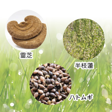 白花蛇舌草成分