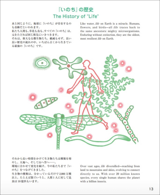 いのちからの伝言３