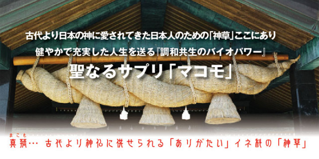 マコモ