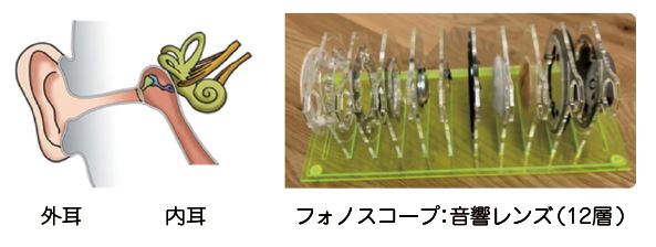 フォノスコープ（耳）