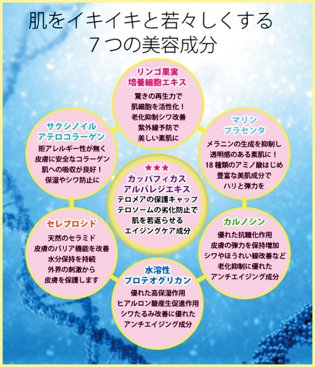 白姫レディーレ４６