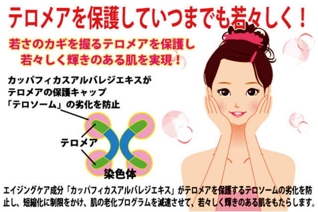 白姫レディーレ４６