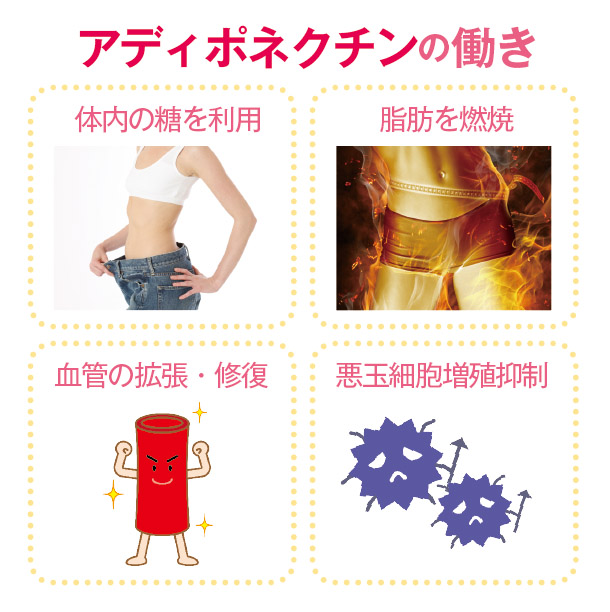 白姫ステージアップクリーム