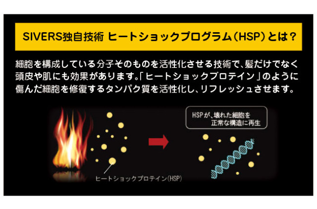 シヴァ―ズマジック・ヒートショックプロテイン