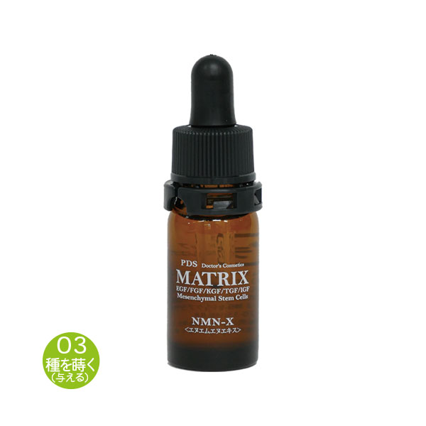 PDSマトリックス　NMN-X エキス