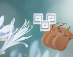 フォトニックフラクタルharmonyお得用3個セット