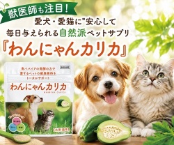 わんにゃんカリカ