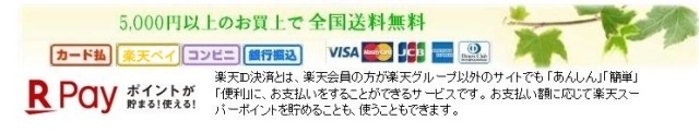 ヘッダー支払方法