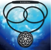 【新品・未開封・レア】　ブッダとイエスの魔法のループ　丸山修寛 新品・未開封・レア】 ブッダとイエスの魔法のループ 丸山修寛