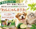 わんにゃんカリカ