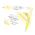 グリーンパパイヤエンザイム