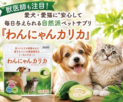 わんにゃんカリカ