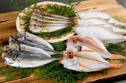 【産地直送品/送料込】鷦鷯屋一夜干詰合せA【M1-1】