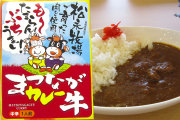 まつなが牛カレー（中辛）