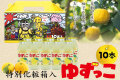 ゆずっこ10本