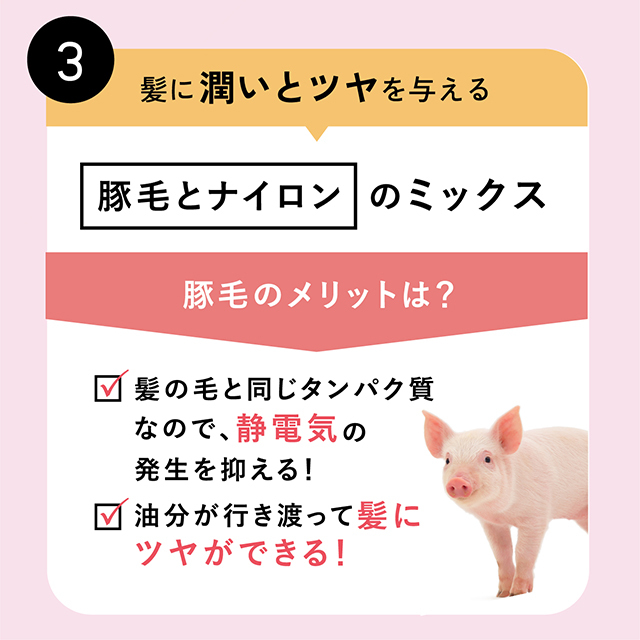 新品 一級品 エマブリッジウォーター ポーラーベア フクロウ プレート