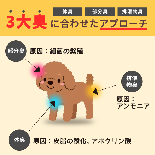 Pittari 犬用ペットシャンプー＆トリートメント【クリアクレンズ