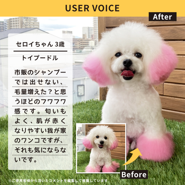 Pittari 犬用ペットシャンプー＆トリートメント【クリアクレンズ