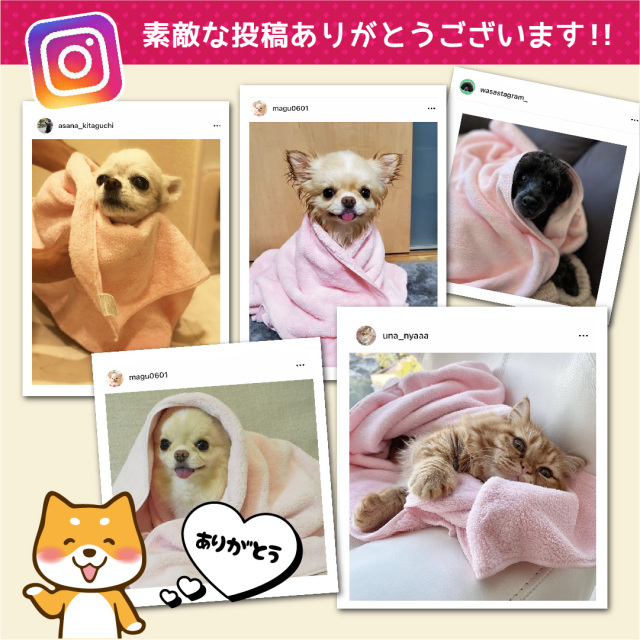 夏コミ限定 ほむら マイクロファイバータオル cloth30cm.jpg