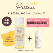Pittari（ピッタリ） シャンプー