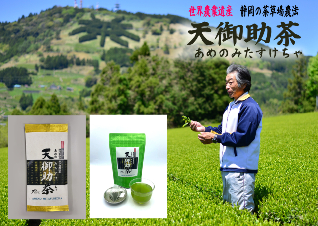 【静岡新聞掲載商品】天御助茶(あめのみたすけちゃ)茶葉とティーバッグセット☆特別価格☆