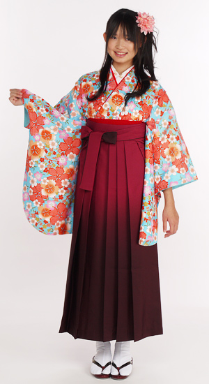 袴単品　七宝904