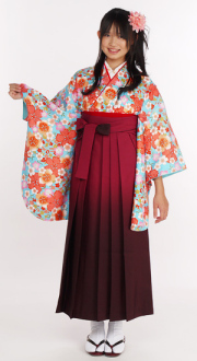 袴単品　七宝904