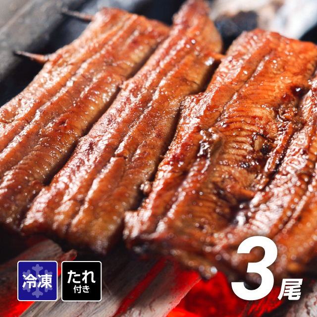 出荷7/18～ うなぎ蒲焼 3尾セット たれ付 1尾180～200g前後 宮崎産