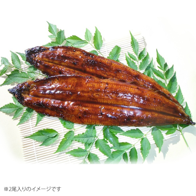 出荷7/18～ うなぎ蒲焼 3尾セット たれ付 1尾180～200g前後 宮崎